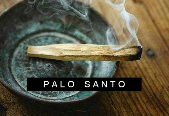 Banner - Palo Santo 548x377